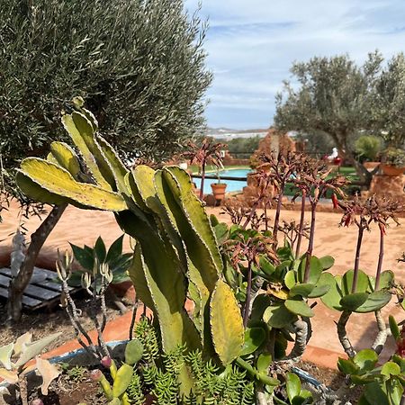 Olivares Rural Los Albaricoques Kültér fotó