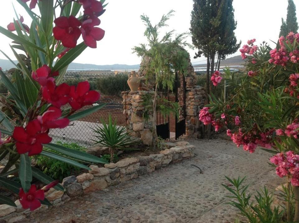 Olivares Rural Los Albaricoques Kültér fotó
