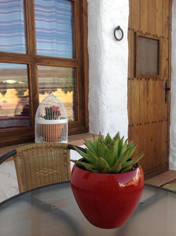 Olivares Rural Los Albaricoques Kültér fotó